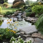 Water Gardens in Durham, North Carolina