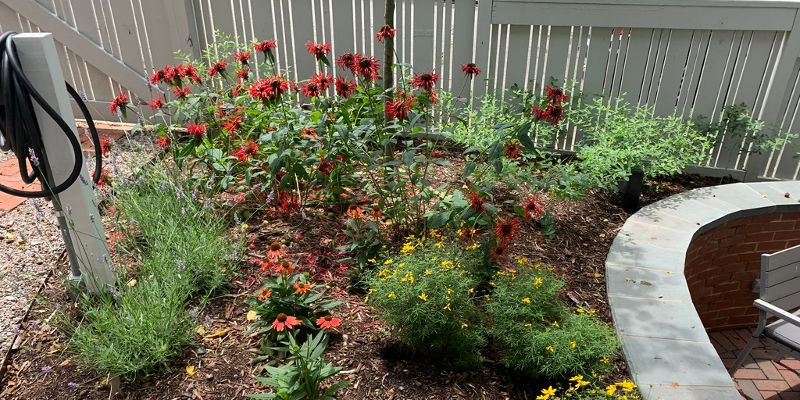 About Garden Environments in Durham, North Carolina