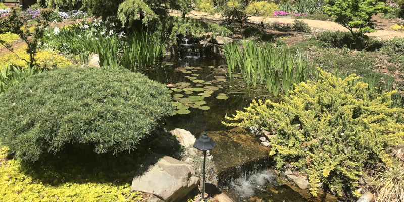 Rain Gardens in Durham, North Carolina