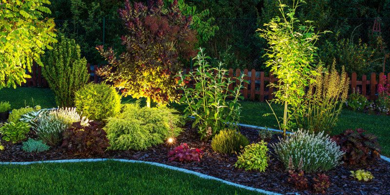 Landscape Lighting in Durham, North Carolina