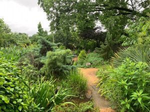 Pollinator Gardens in Holly Springs, North Carolina