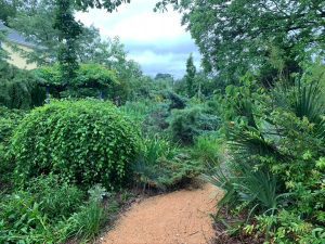 Pollinator Gardens, Watts Hospital-Hillandale, NC