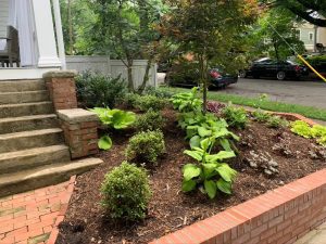 Low-Maintenance Landscaping, Pittsboro, NC