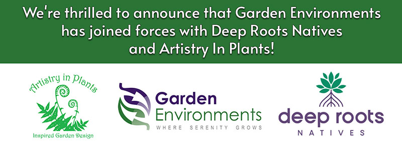 Announcing Our Recent Merger with Deep Roots Center for Biocultural Restoration and Artistry In Plants 