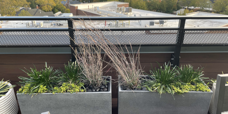 Balcony Gardens in Durham, North Carolina