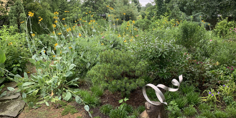 Native Plant Experts