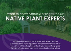What You Should Know About Working with Our Native Plant Experts