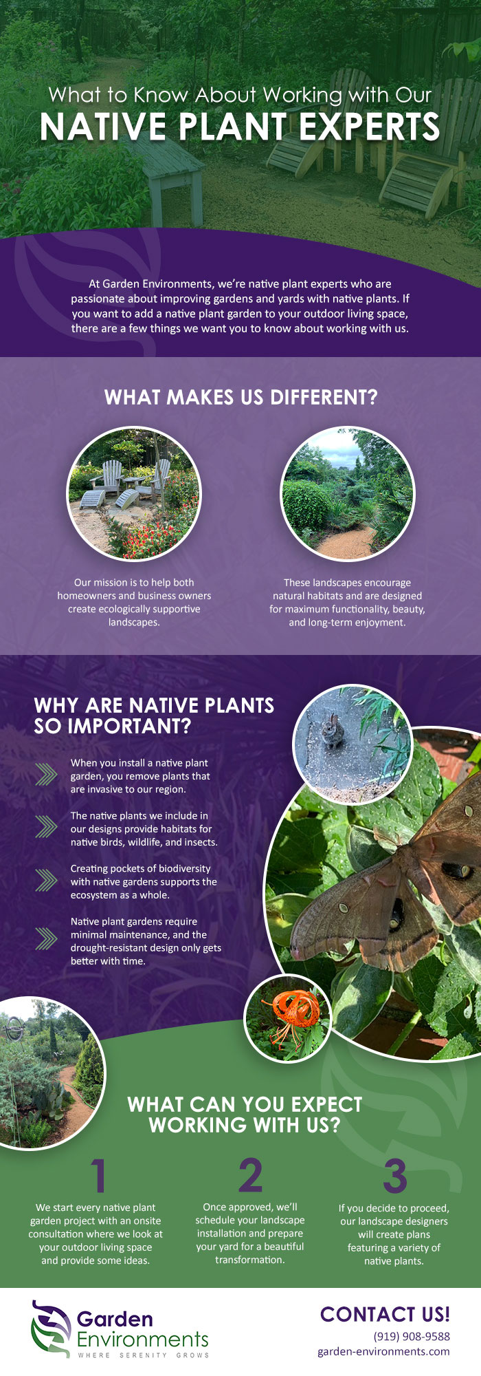 Learn About the Benefits of Working with Experts in Native Plants
