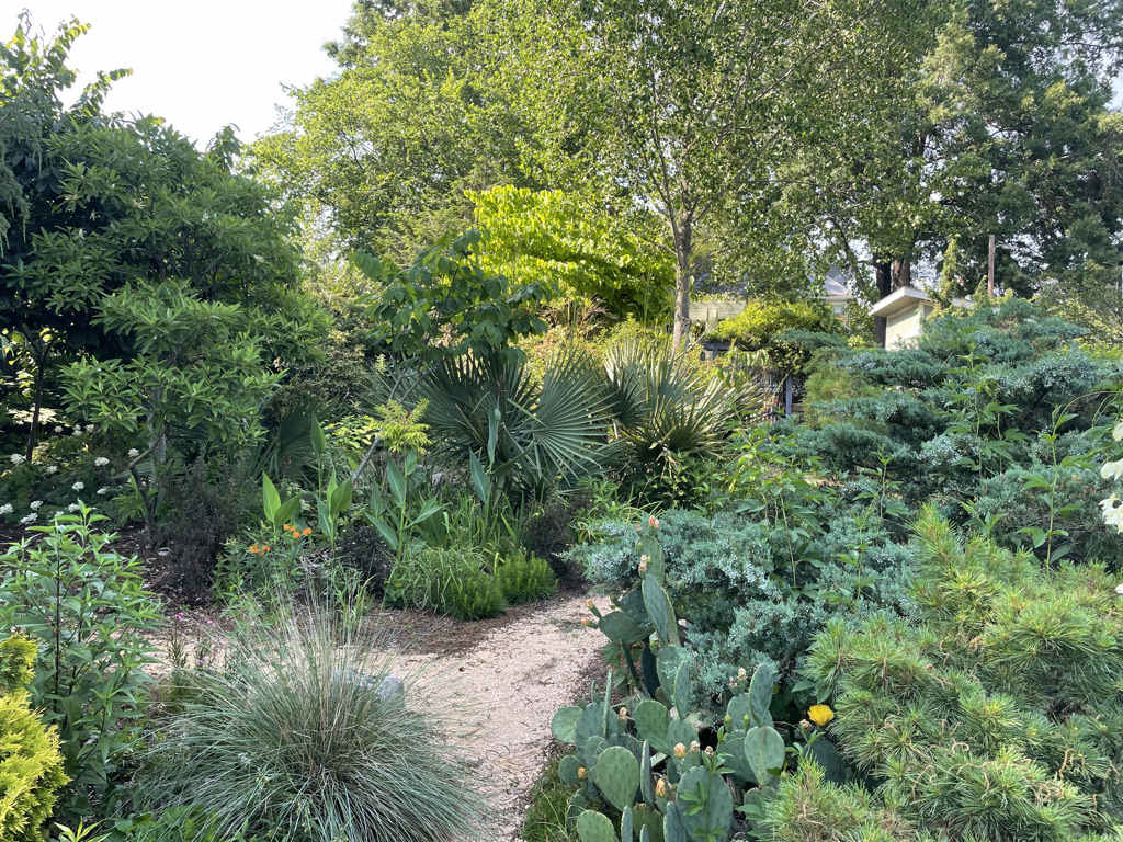 Natural Landscaping, Holly Springs, NC