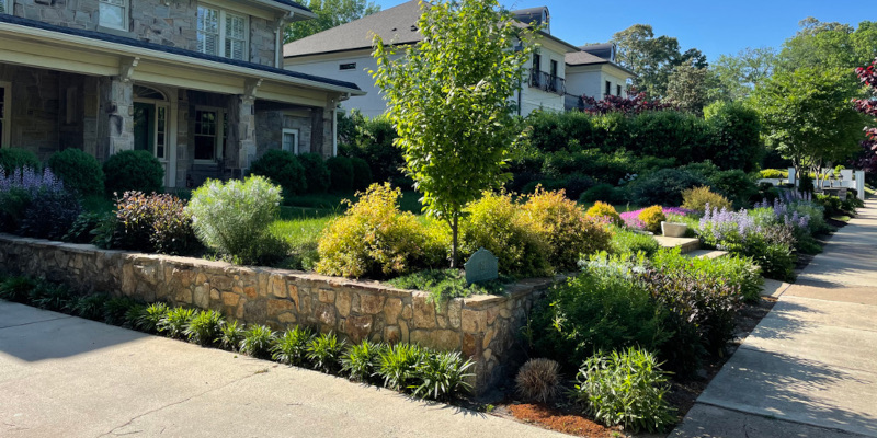 Natural Landscaping, Raleigh, NC
