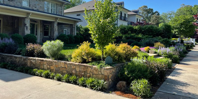 Natural Landscaping in Holly Springs, North Carolina