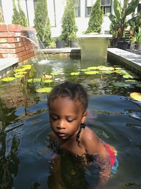 Plunge Pool Installation in Durham, North CarolinaC