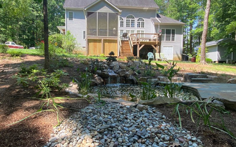 Water Gardens in Durham, North Carolina