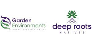Announcing Our Recent Merger with Deep Roots Center for Biocultural Restoration and Artistry In Plants