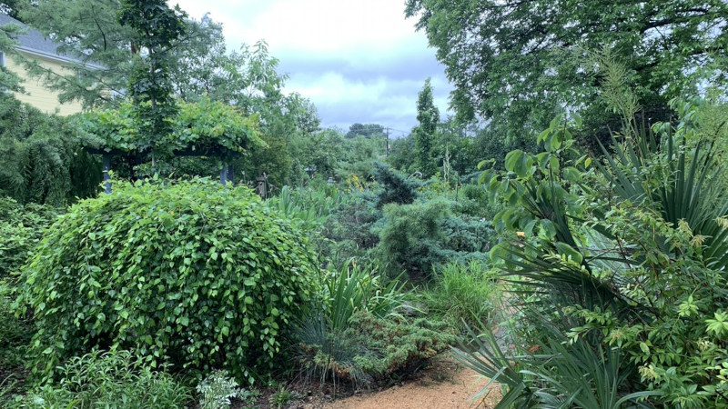 How Can Your Garden Provide Native Habitats and Support Biodiversity?