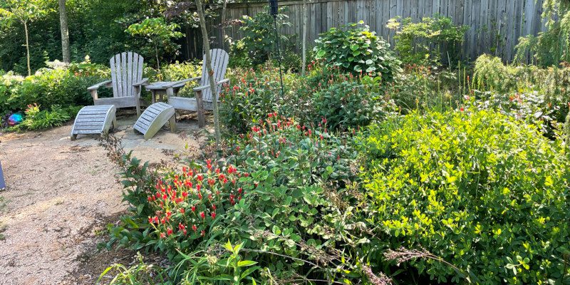 Native Landscaping in Durham, North Carolina